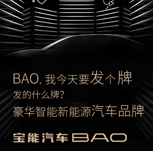 行业动态周报 瓜子二手车陷不正当竞争风波，宝能推新品牌迎挑战，特斯拉大规模召回引关注，数字广告发布迎来新机遇